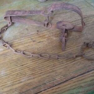 Antique Victor Trap